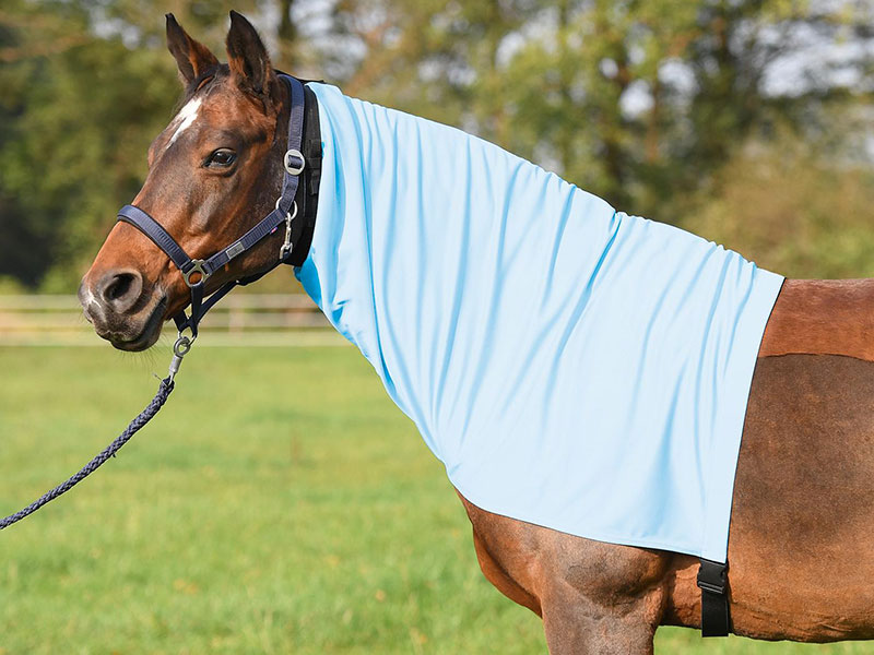 Ekzemer Halsteil EXTENSIVE Ekzemer Halsteil EXTENSIVE