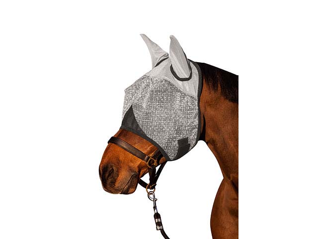 braunes Pferd mit weißer Fliegenmaske