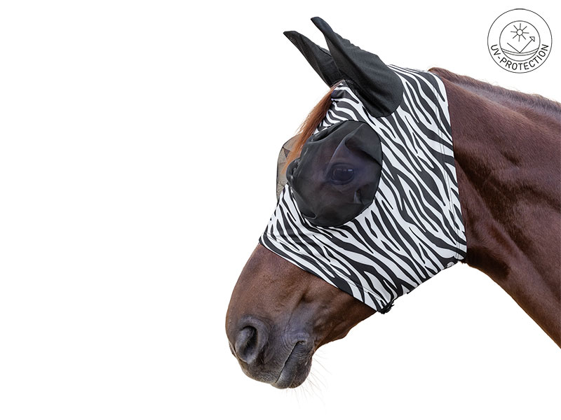 braunes Pferd mit Zebra-Fliegenmaske