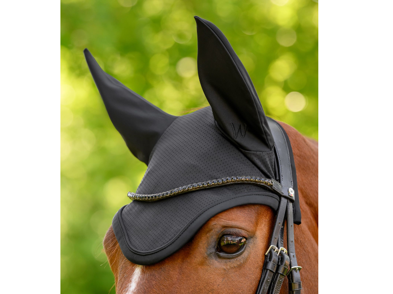 braunes Pferd mit schwarzen Fliegenohren