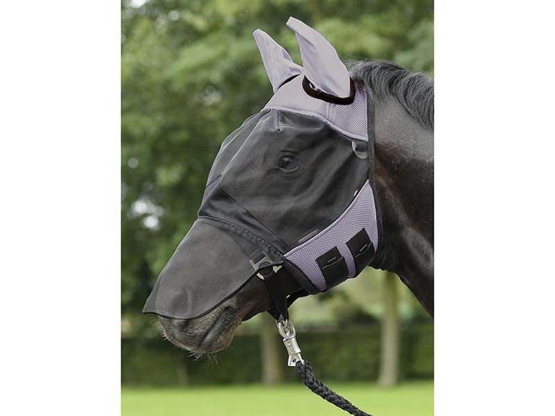 schwarzes Pferd mit schwarzer Fliegenmaske