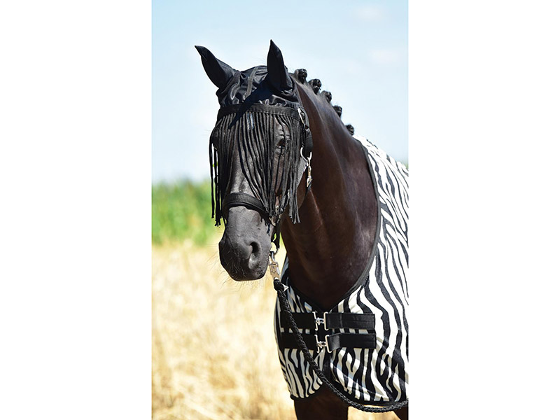 dunkles Pferd mit Ohrenschutz Fliegenschutz mit Fransen