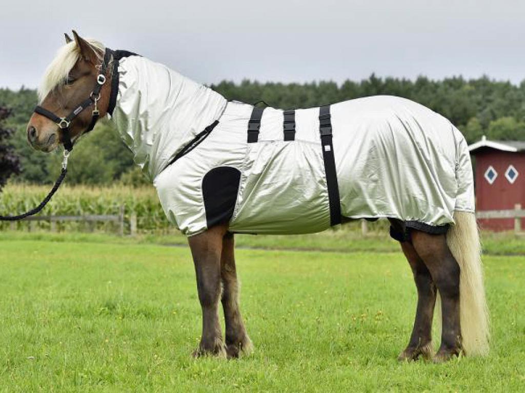 Braunes Pferd mit silberner Ekzemerdecke und Halsteil