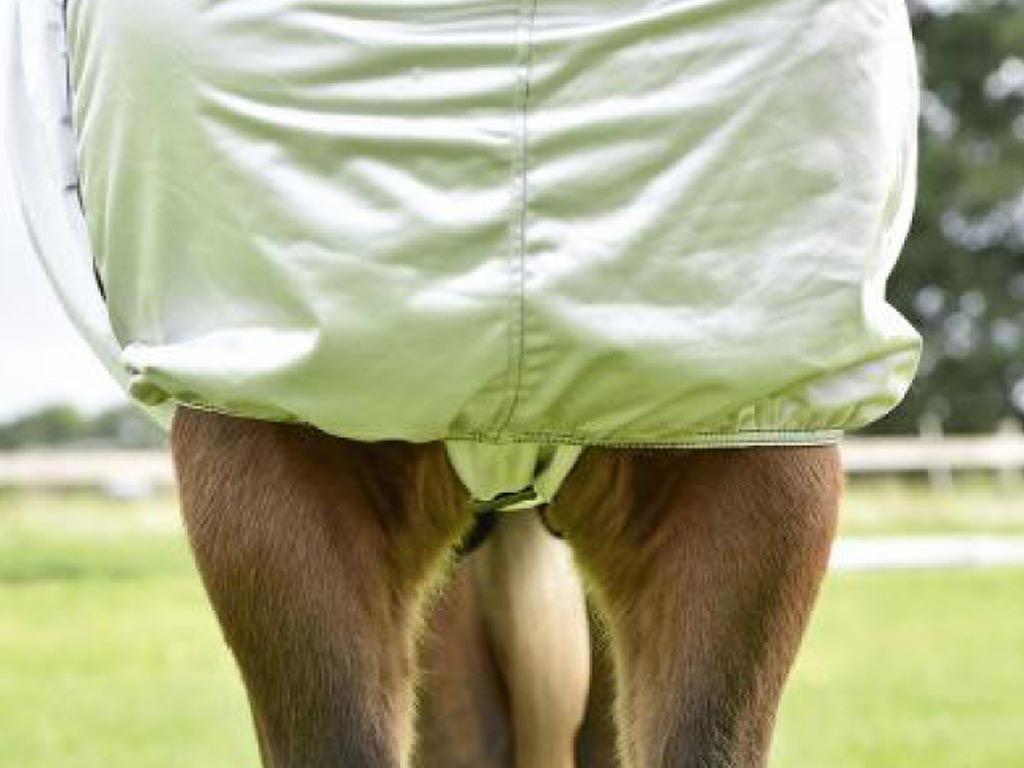 Braunes Pferd mit silberner Ekzemerdecke und Halsteil