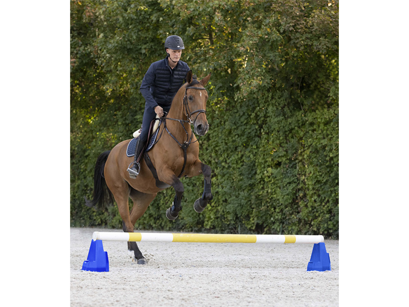 Cavaletti-Block blau/gelb