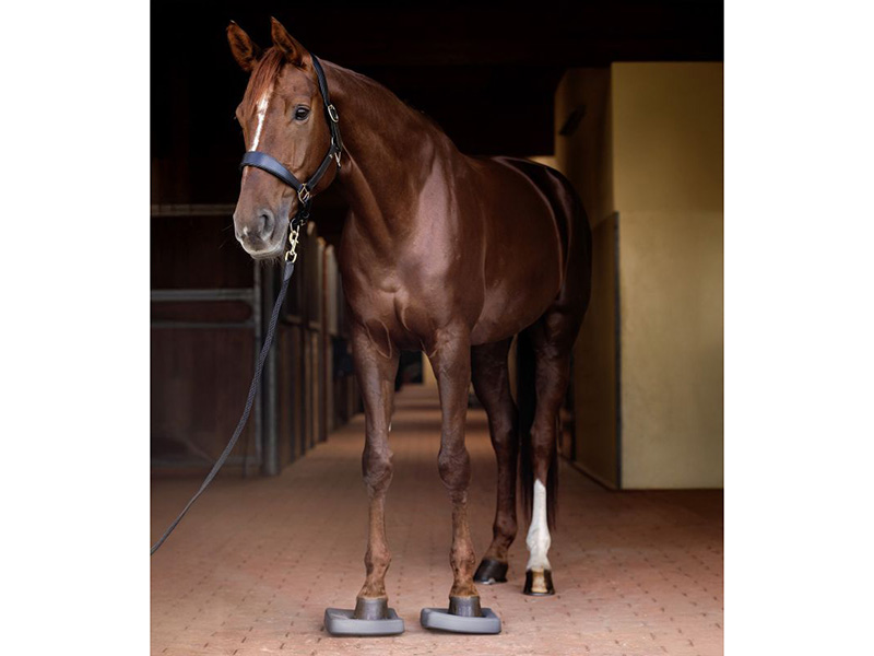 Waldhausen Health + Care Balance Pads