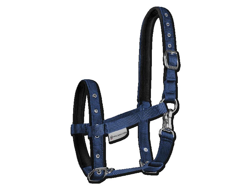 Blaues Fohlenhalfter