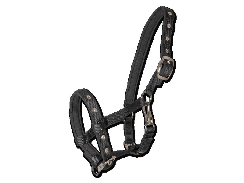 Schwarzes Fohlenhalfter