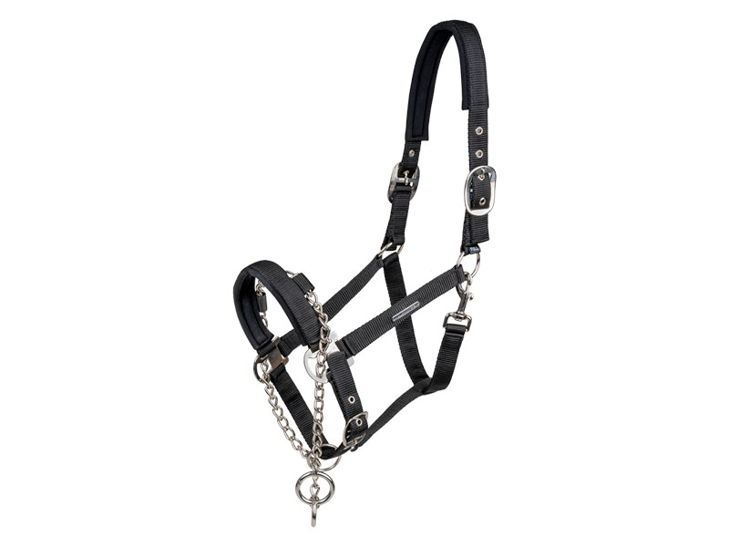 Halfter Pro Safety