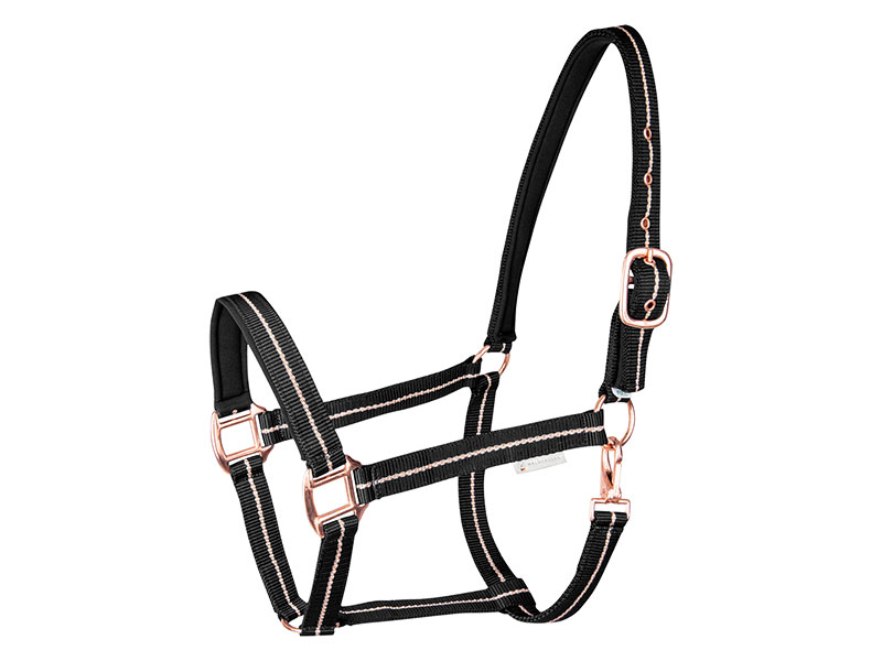 Stallhalfter blau rose