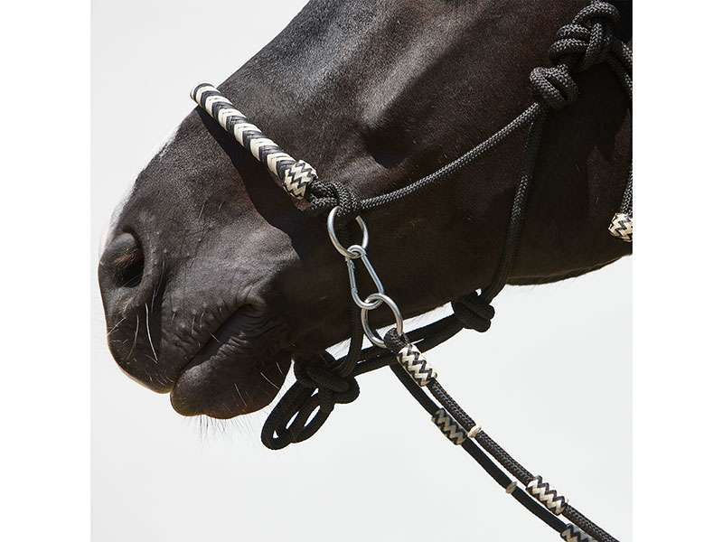 Knotenhalfter Enya von Kieffer Bodenarbeit