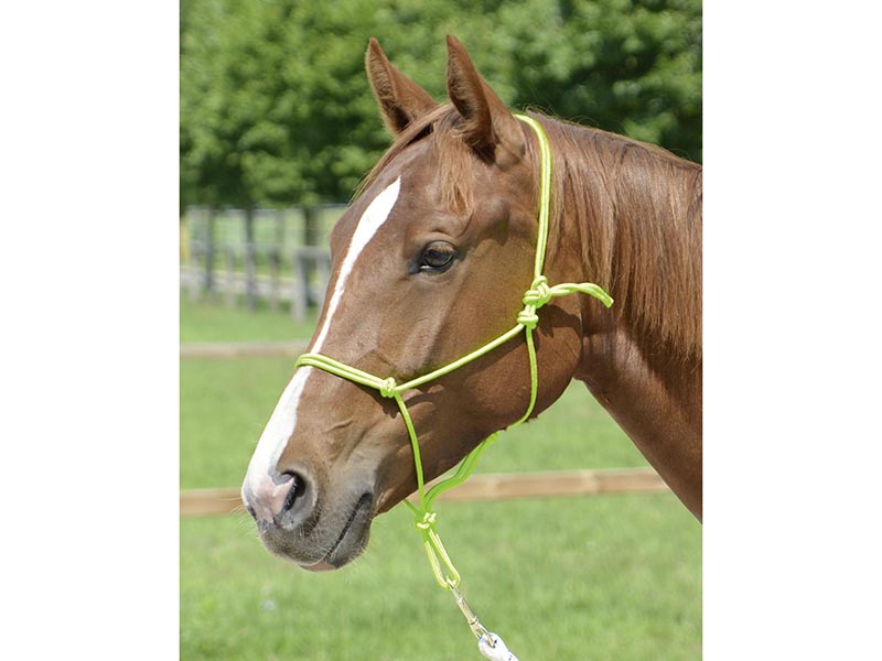 Knotenhalfter *Smooth* viele Farben Knotenhalfter *Smooth* viele Farben