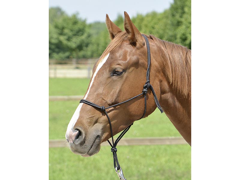 Knotenhalfter *Smooth* viele Farben Knotenhalfter *Smooth* viele Farben