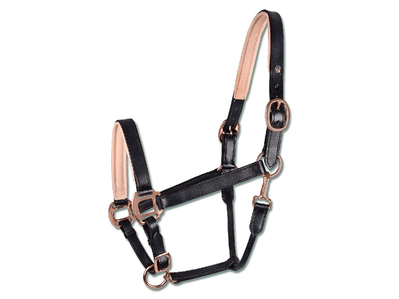 schwarz rosanes Lederhalfter