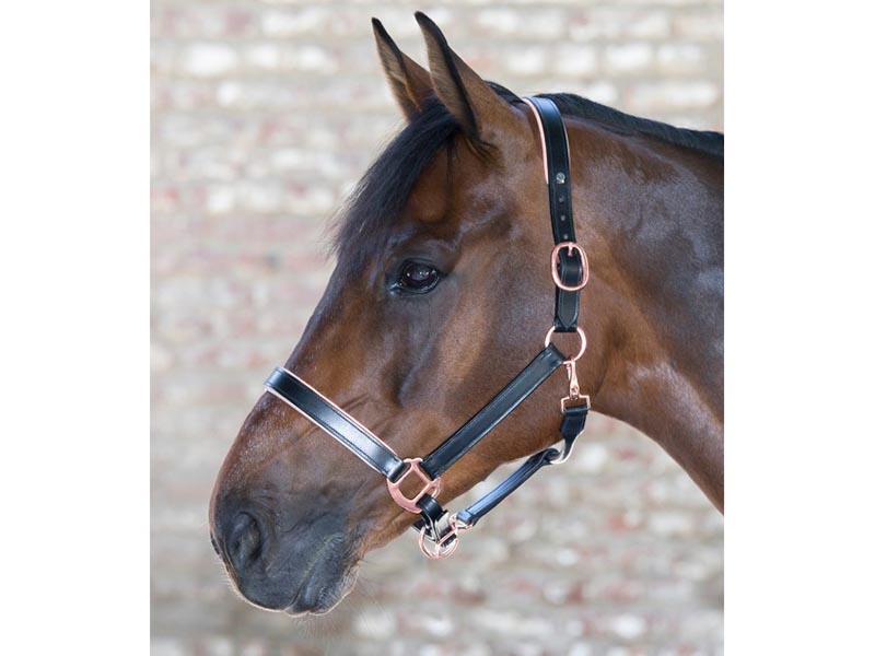 Lederhalfter X-Line Rosé Lederhalfter X-Line Rosé