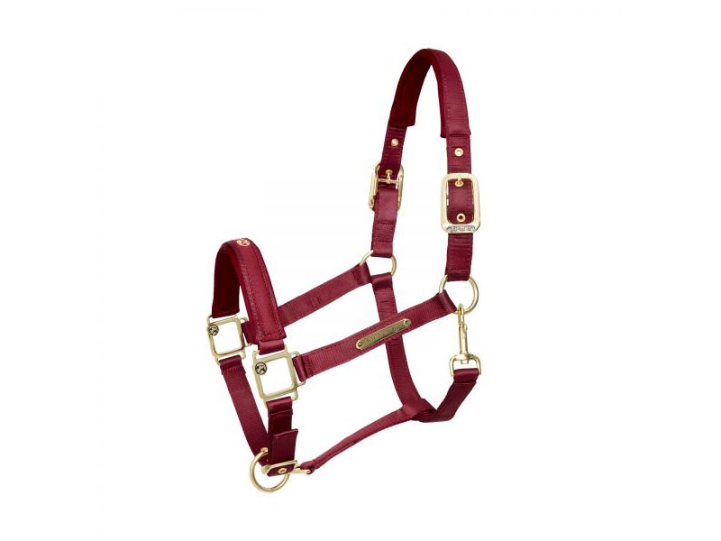 rotes Stallhalfter Satin