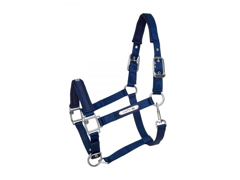blaues Stallhalfter Satin