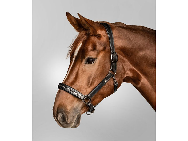 Waldhausen X-Line Lederhalfter Crystal