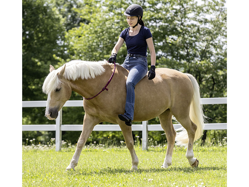 Reiterin auf braunem Pferd mit Halsring