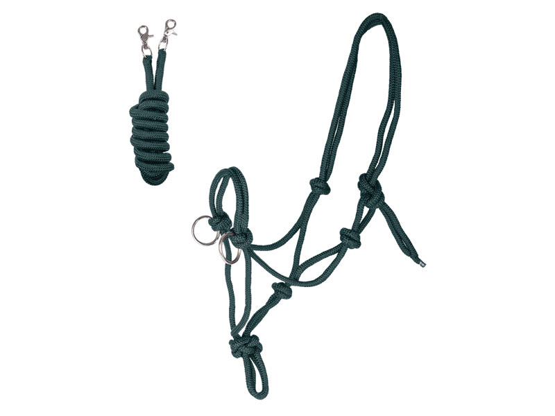 schwarzes Knotenhalfter mit Zügel