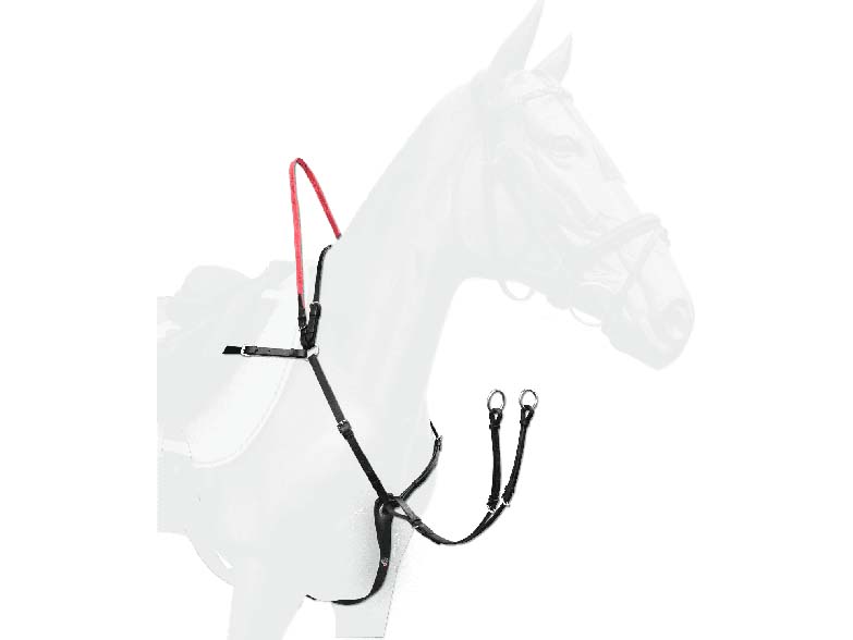 Vorderzeug mit Sicherheitszügel