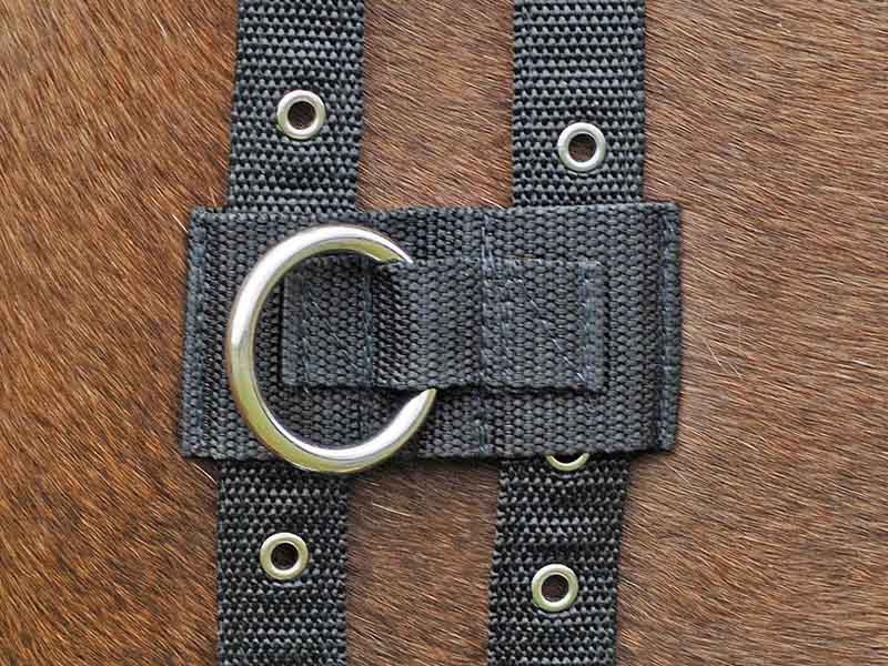 Ausbindering am Pferd