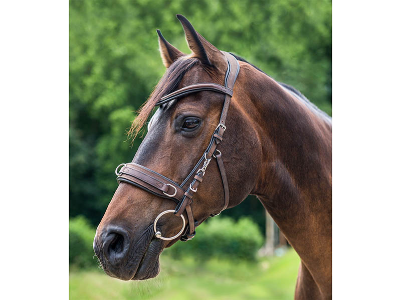 Lederkappzaum Anatomic braun versch. Größen