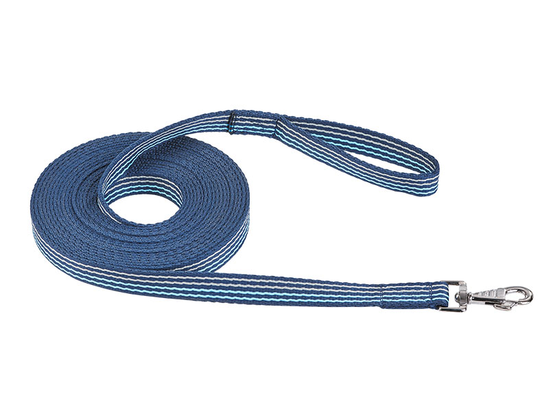 blau gestreifte Longe mit Karabinerhaken