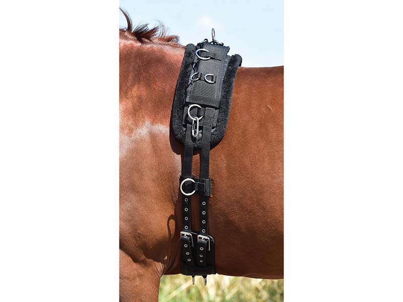 Longiergurt-Unterlage *Plush* von Busse Longiergurt-Unterlage *Plush* von Busse