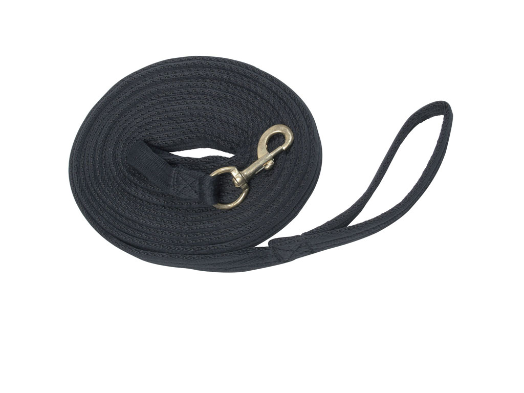 schwarze Longierleine