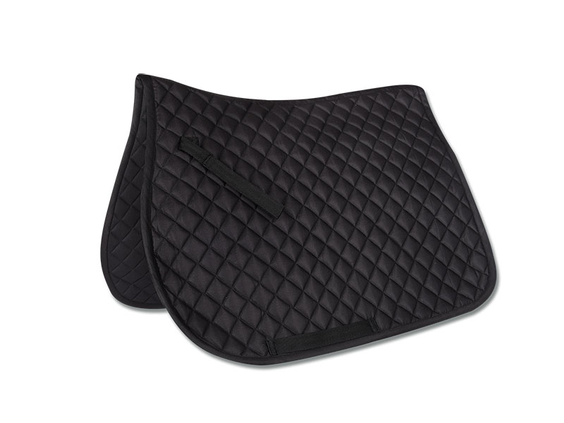 SCHABRACKE FELIX Shetty/Pony