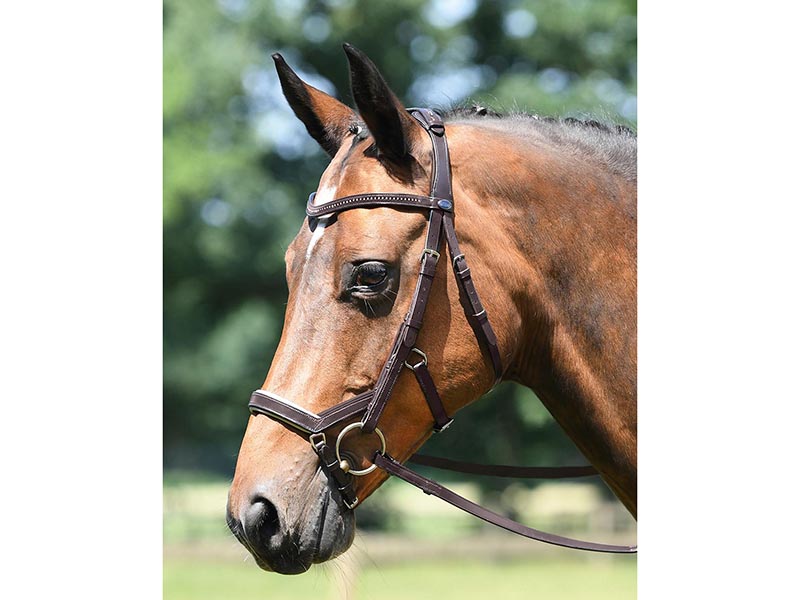 Trense *Feeling* von Busse Trensenzaum