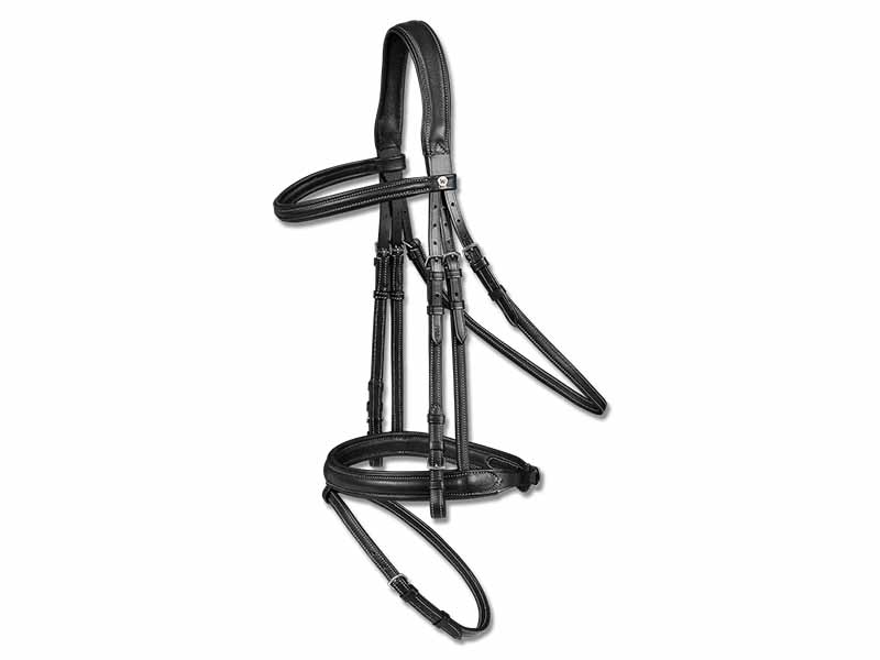 schwarzer Trensenzaum