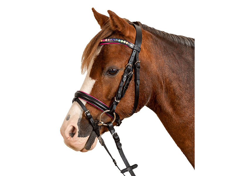 STAR Trensenzaum Pinky