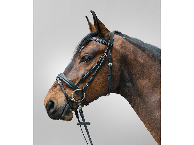 STAR Trensenzaum Diamond