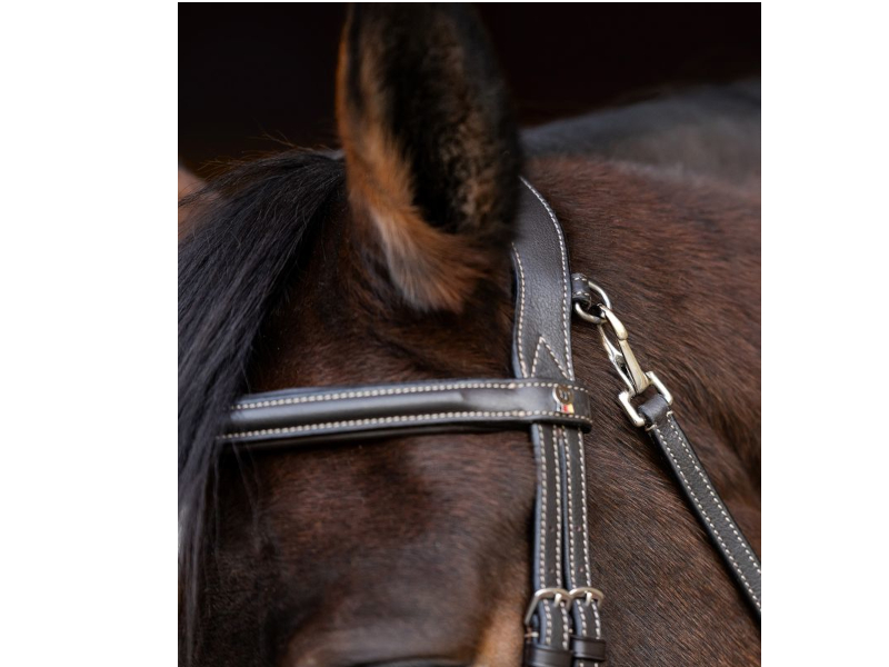 Waldhausen X-Line Trensenzaum Work 