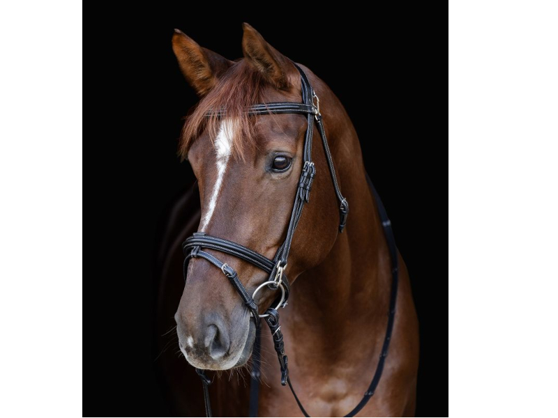 Waldhausen X-Line Trensenzaum Work 