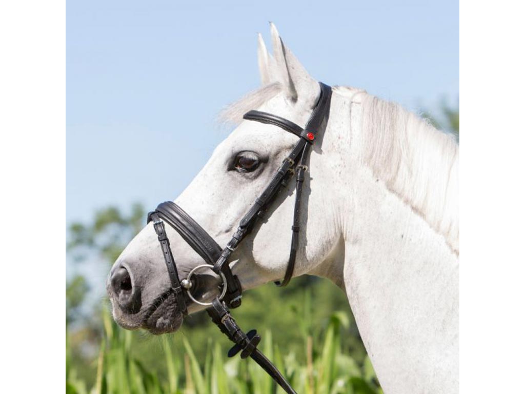 Kieffer Trense *Ultrasoft Economy * Kieffer Trense *Ultrasoft Economy *