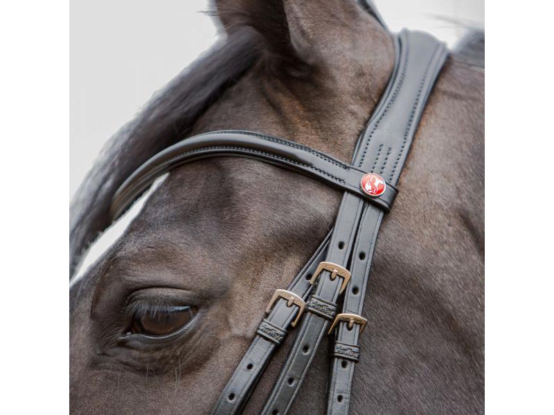 Kieffer Trensenzaum *Katy 3126* Kieffer Trensenzaum *Katy 3126*