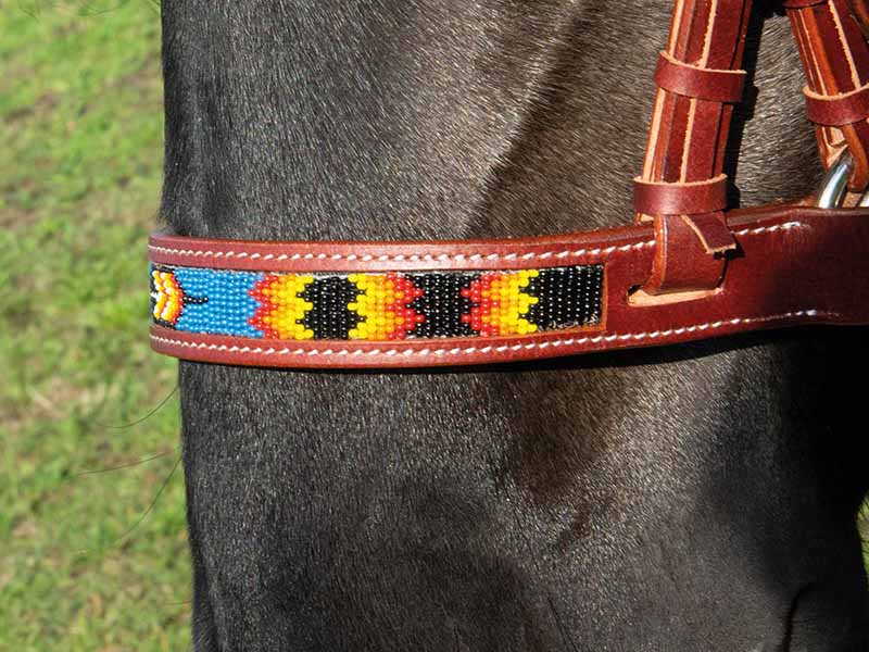 Sidepull Indian Spirit Western VB