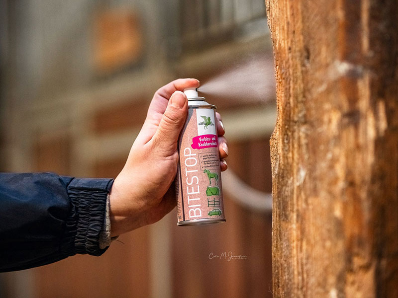 Hand mit Spraydose Verbissschutz