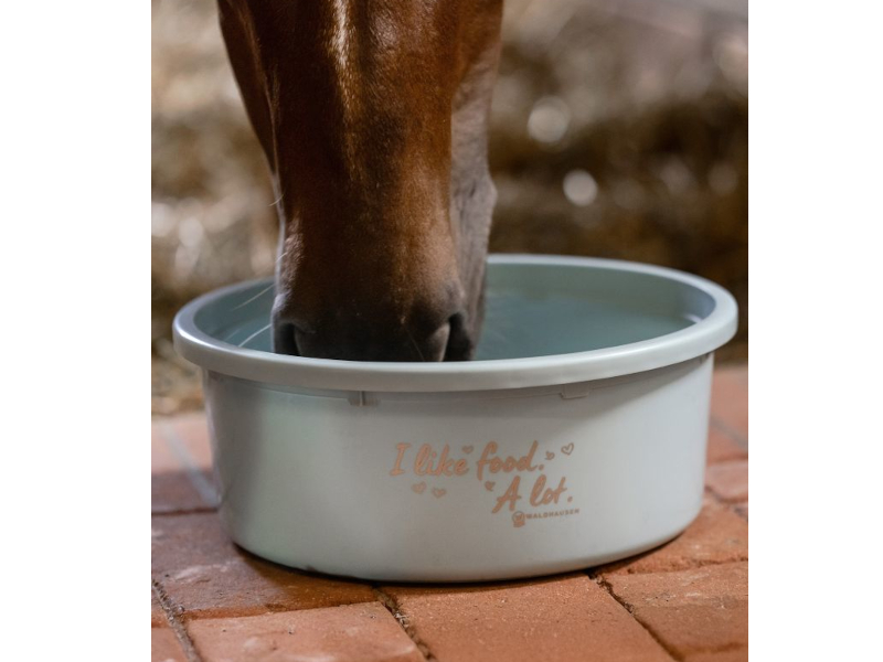 Pferd frisst aus Futterschale