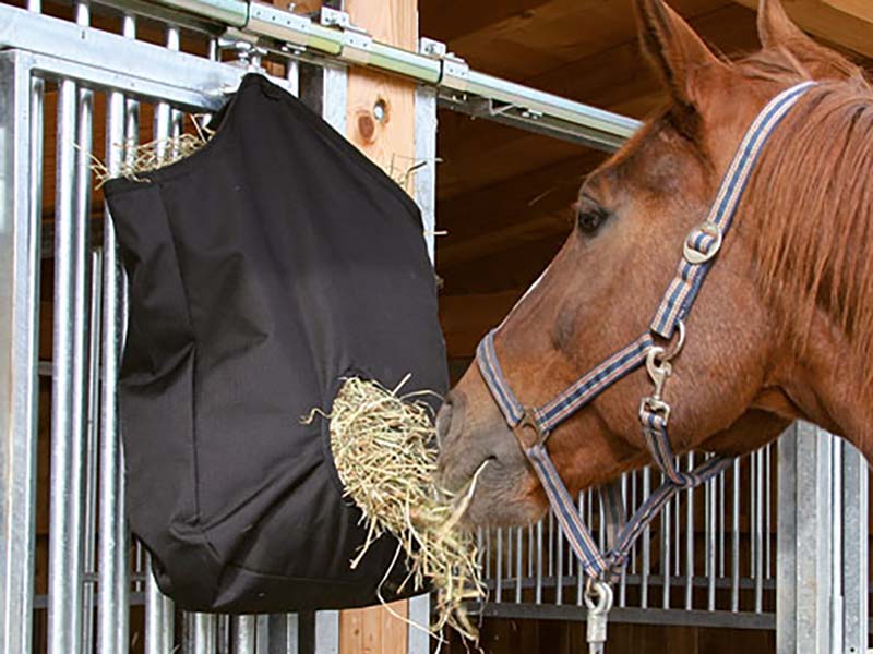 Pferd frisst aus schwarzem robusten Heusack