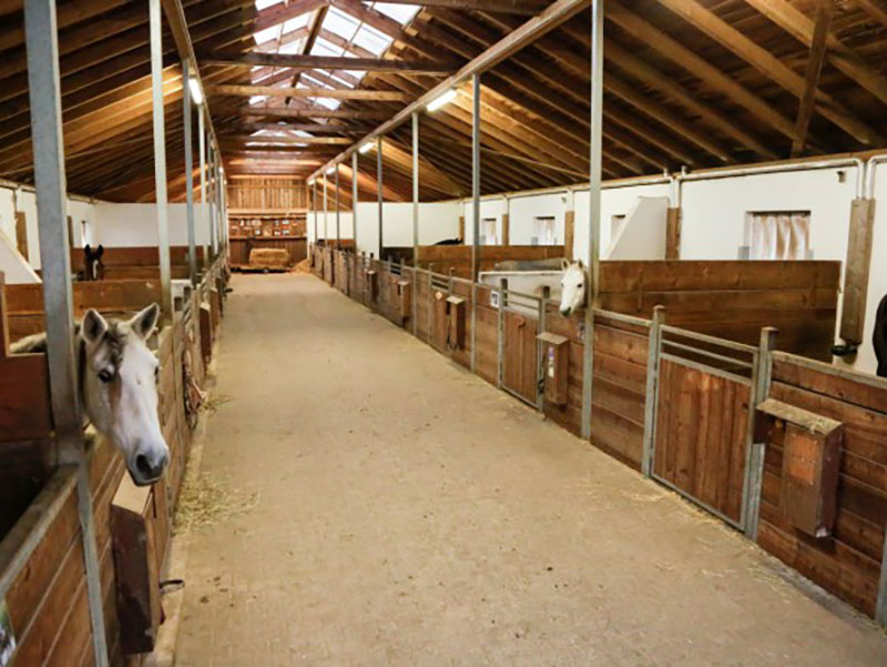 Stall mit schwarzer IPCam 360 FHD Compact Kamera