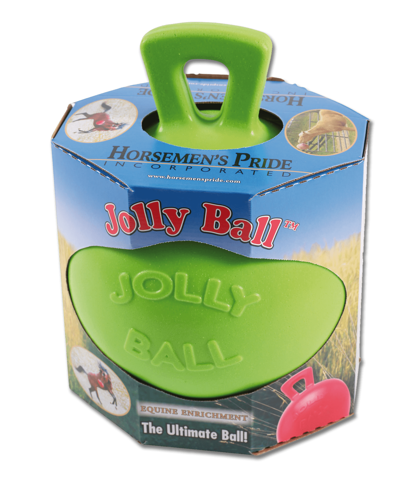 grüner Pferdespielball