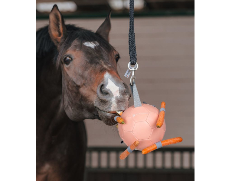 Karottenball Pferdespielzeug