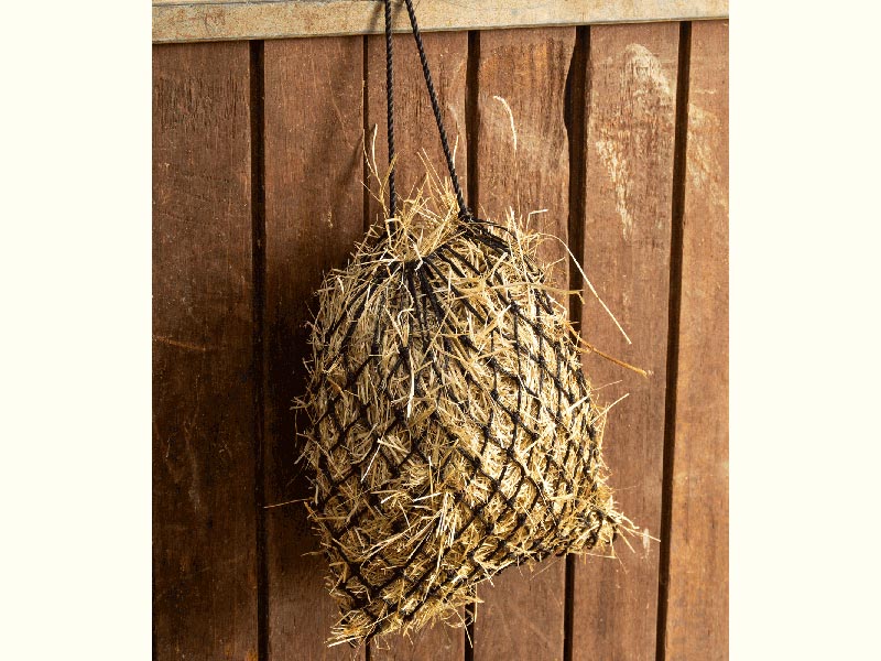 Shetty Heunetz SlowFeed