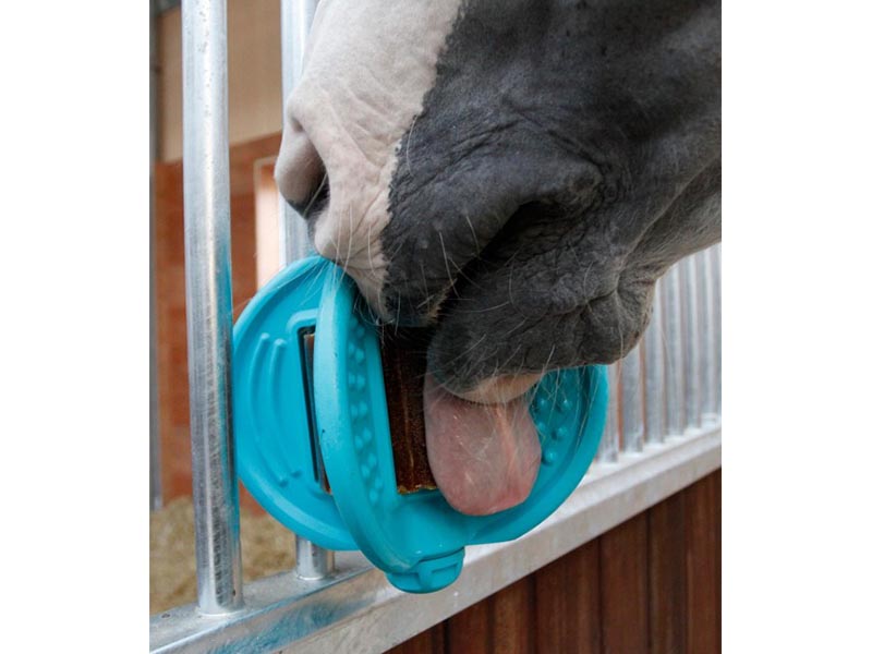 Pferd mit Bizzy Ball für Aromatherapie