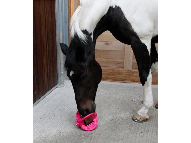 Pferd mit Bizzy Ball für Aromatherapie