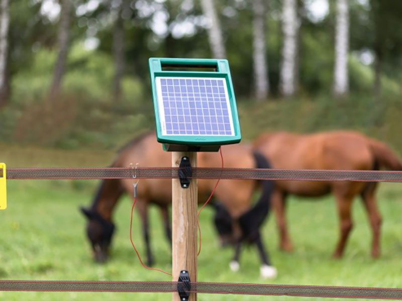 Weide mit AKO Sun Power S 500 Weidezaungerät